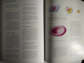 Manual de anatomía y fisiología