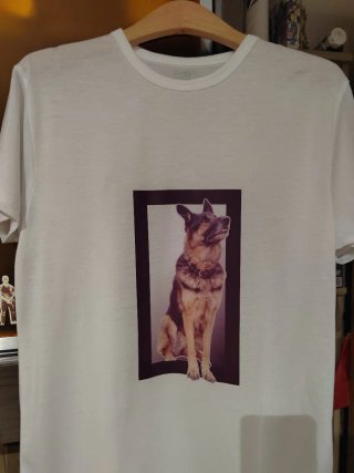 Articulos personalizados