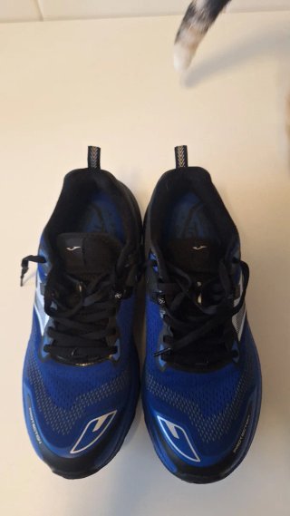 Zapatillas Joma Trail Running TR-5 25