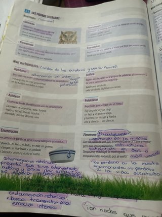 Lengua castellana y literatura 1 Secundaria