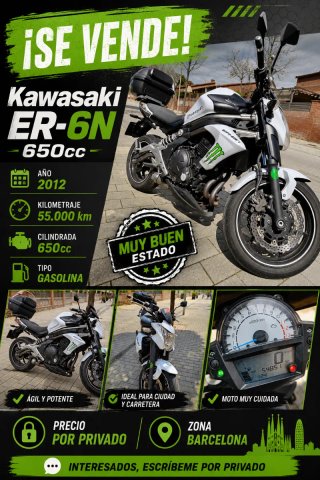 Kawasaki ER-6N 650cc 2012