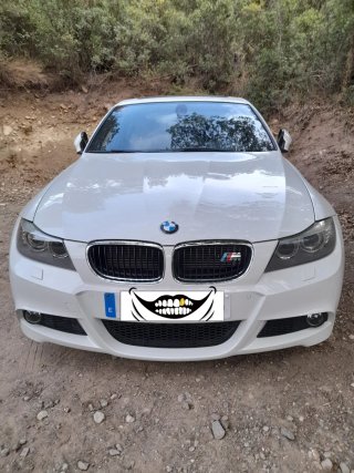 BMW Serie 3 2011