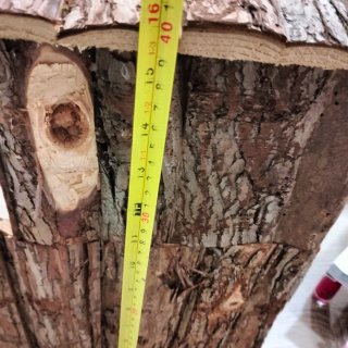 Caseta madera natural roedores