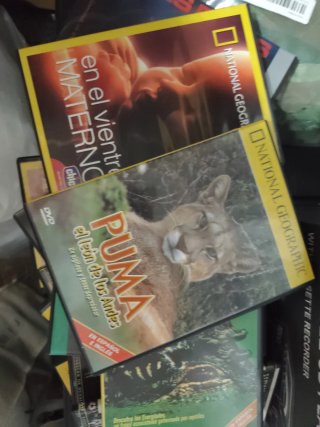 Lote Películas y Series DVD Policíacas