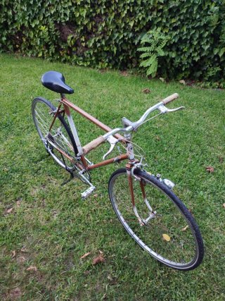 Bicicleta Clásica !