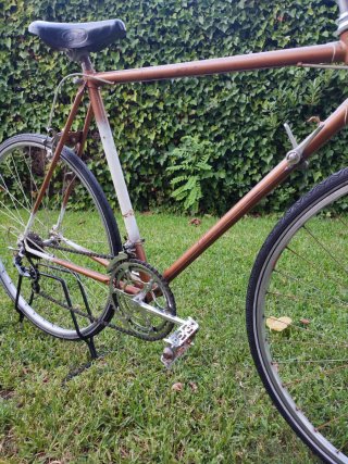 Bicicleta Clásica !