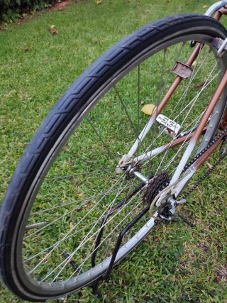 Bicicleta Clásica !