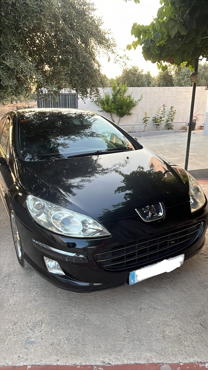 Peugeot 407 - foto 1