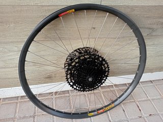 QR10, 26 x30 reforzada Mavic rueda trasera enduro