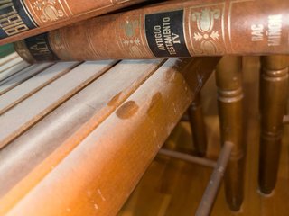 Biblias