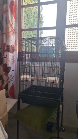 Jaula grande para pájaros con ruedas
