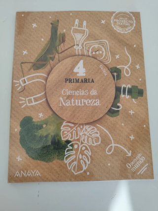 Libros de 4° primaria