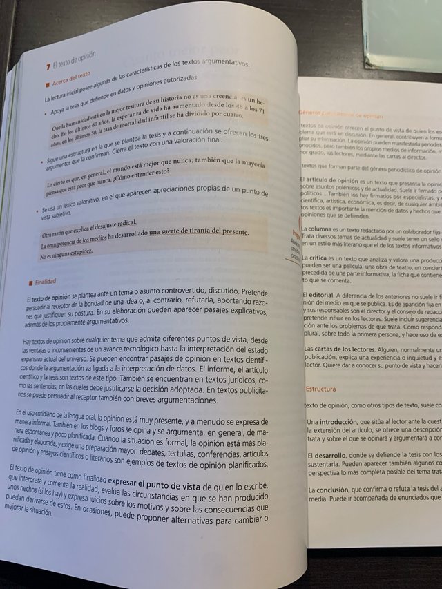 Término, Lengua, Bachillerato