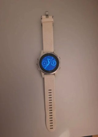 Smartwatch Garmin Fenix 5S Plata/Blanco