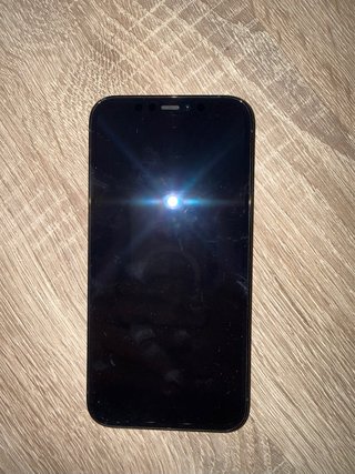 iPhone 12 Pro despiece