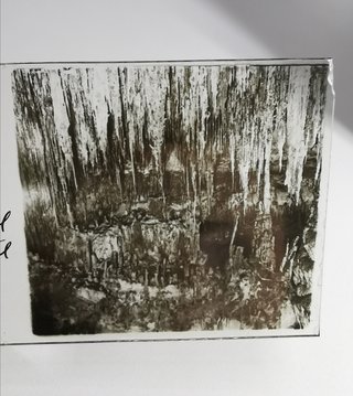 1926 Placa Fotográfica 3D Estereoscópica cristal