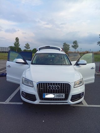 Audi Q5 2013