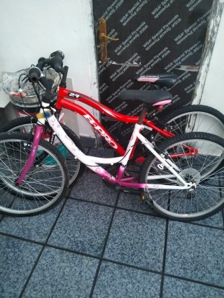 Bicicleta Roja  Morada,Blanca y Rosa