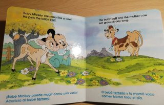 Libro Ingles/español con tarjetas de aprendizaje