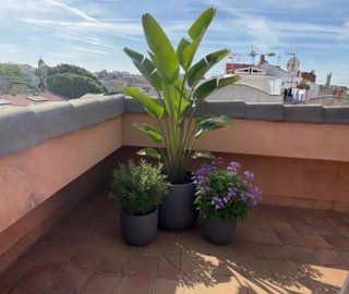 Jardinero oficial