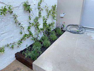Jardinero oficial