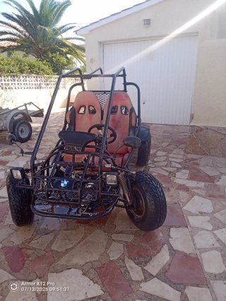 Buggy BMW Campo Negro/Marrón
