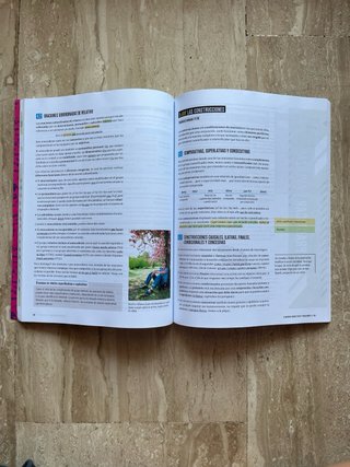 Lengua castellana y literatura 4o Secundaria