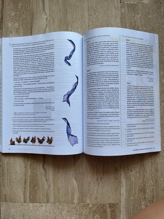 Lengua castellana y literatura 4o Secundaria