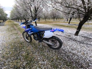 Yamaha WR250F Enduro/Motocross Azul/Blanca