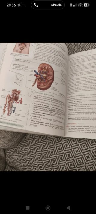 Biología, Geología y CC. Ambientales 1º Bachill...