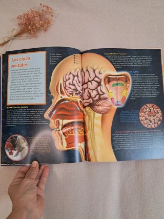 Libro infantil El Cuerpo Humano Viaja a tu interio