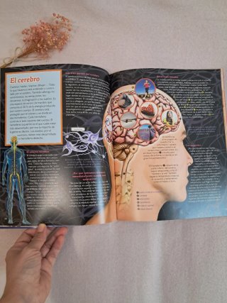 Libro infantil El Cuerpo Humano Viaja a tu interio