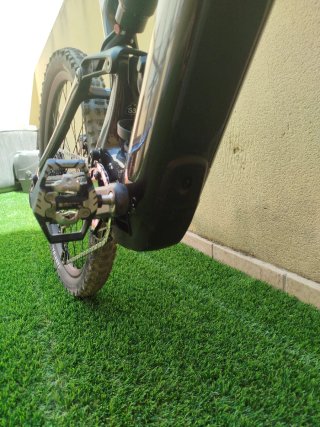 Levo Evo Comp 2026