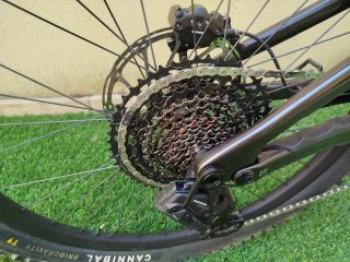 Levo Evo Comp 2026