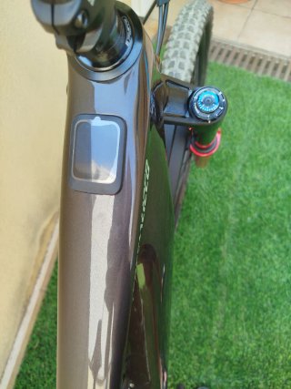 Levo Evo Comp 2026
