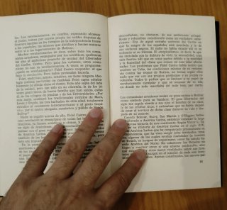 Los guerrilleros.  lucha de guerrillas