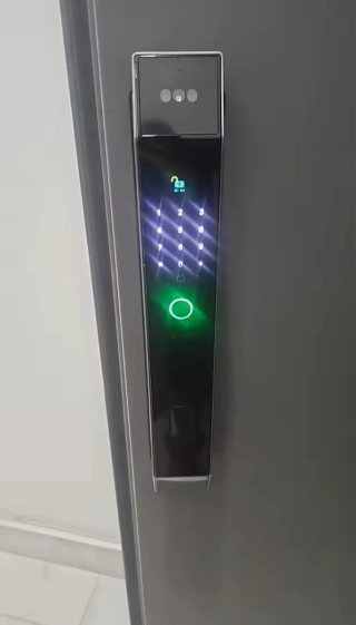 Cerradura Inteligente Tuya Smart Lock