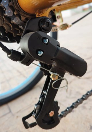 Triciclo dorado con cesta