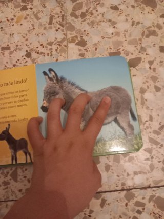 Libro infantil " Toca toca animales suaves".