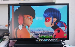 Televisor Philips 24 para colgar