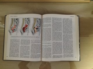 Gran Diccionario Médico