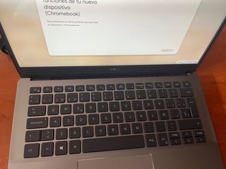 Dell Latitude 3301 13 i5 1.6 GHz