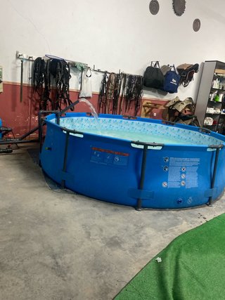 Piscina de plástico azul