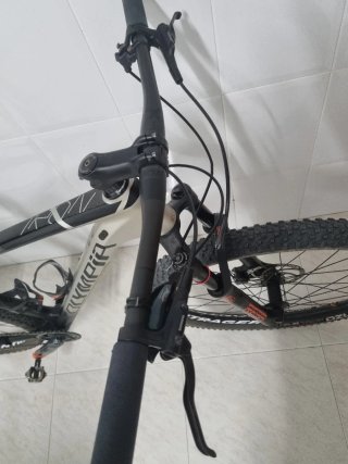 Bicicleta Olympia Iron 29" Carbono