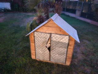 Casa de Madera Para Perro (¡con Manta e Eléctrica!