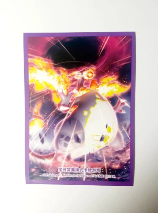 Funda Pokémon Coleccionista Charizard
