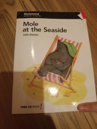 Mole at the Seaside libro inglés