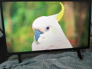 LG Smart TV 32 pulgadas