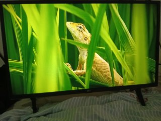 LG Smart TV 32 pulgadas