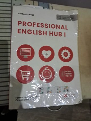Professional English HUB I
